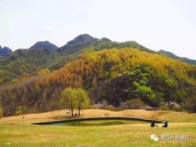 了解知识星球平台-女人结婚后管钱真的能提高安全感吗?,获取知识的新体验